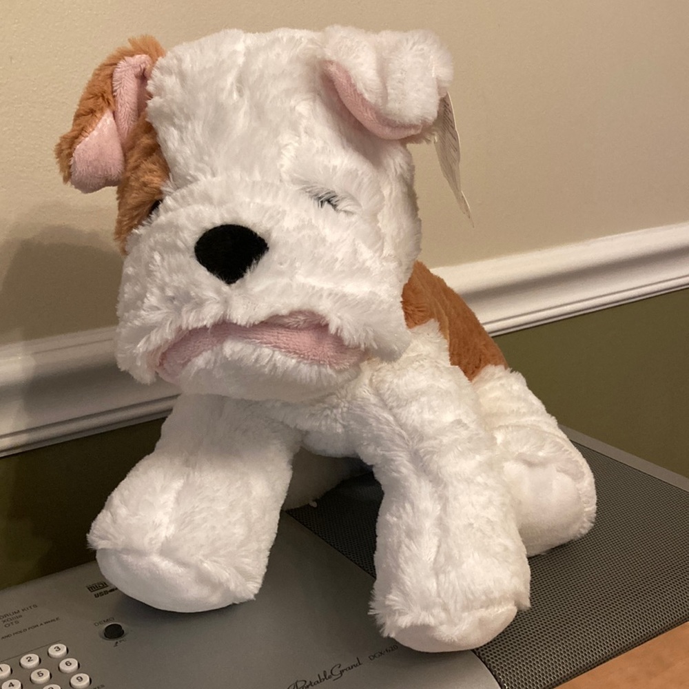 Teddy Mountain BULLDOG